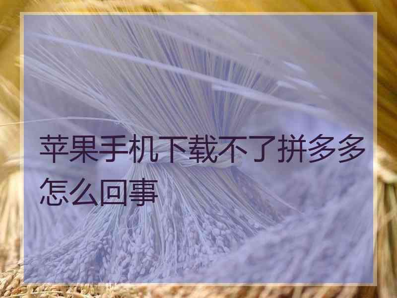 苹果手机下载不了拼多多怎么回事