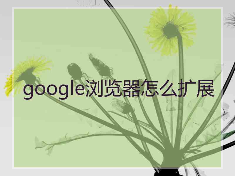 google浏览器怎么扩展