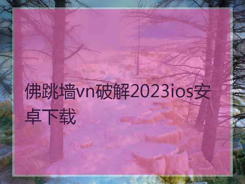 佛跳墙vn破解2023ios安卓下载