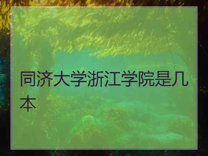 同济大学浙江学院是几本