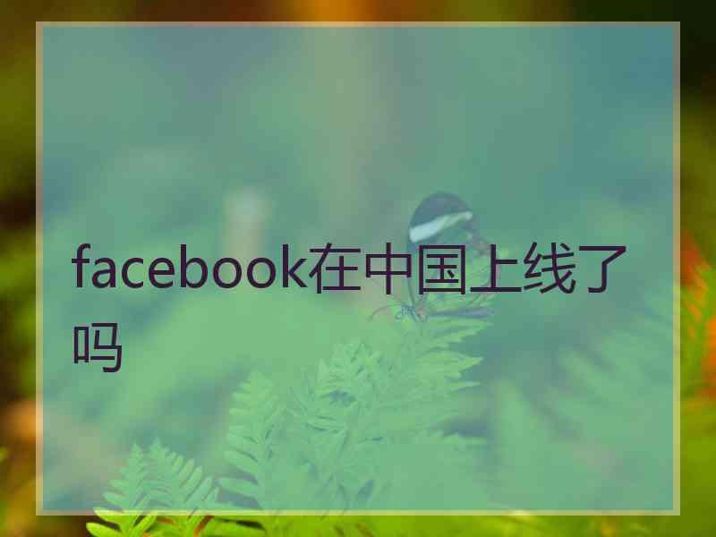 facebook在中国上线了吗