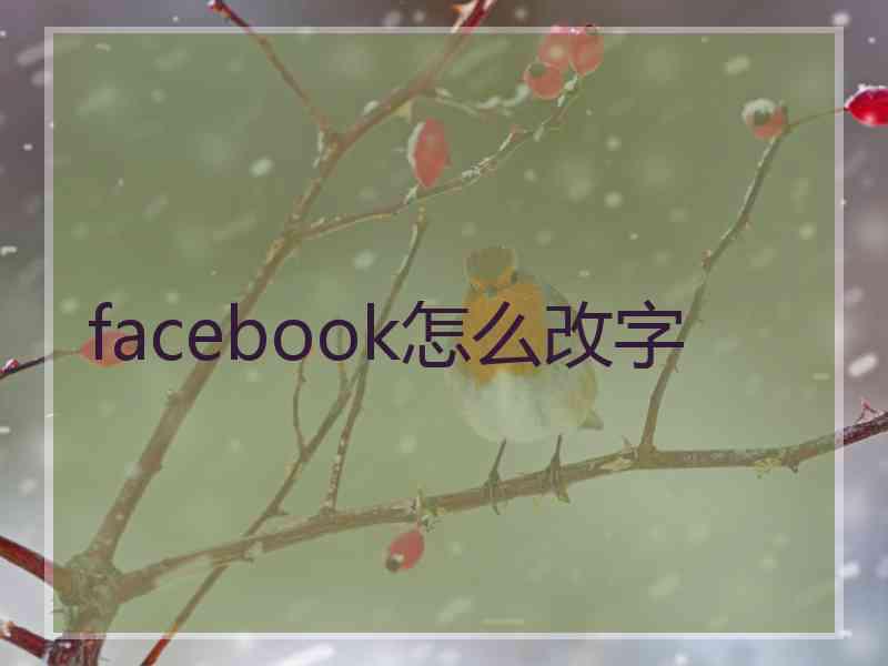 facebook怎么改字