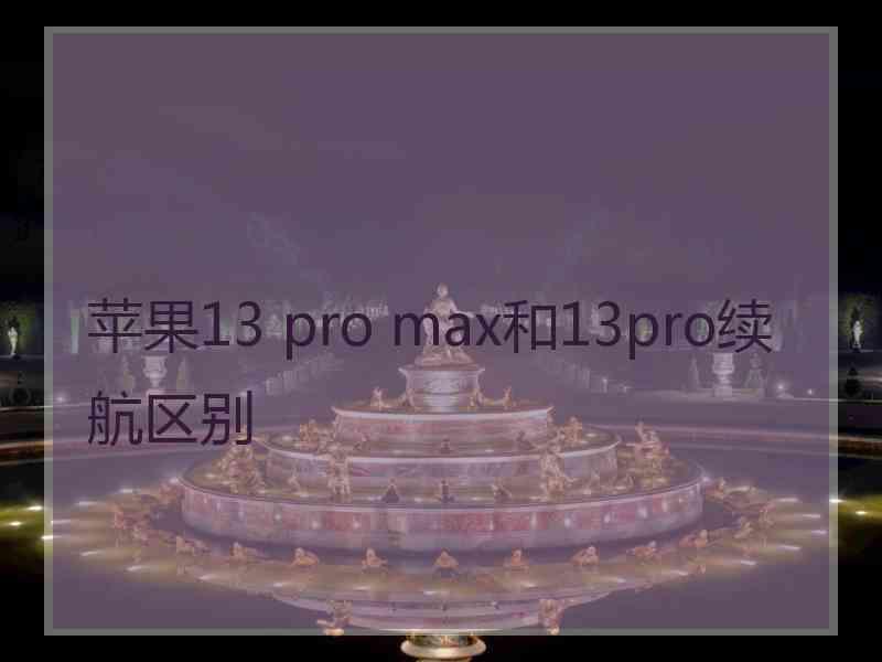 苹果13 pro max和13pro续航区别