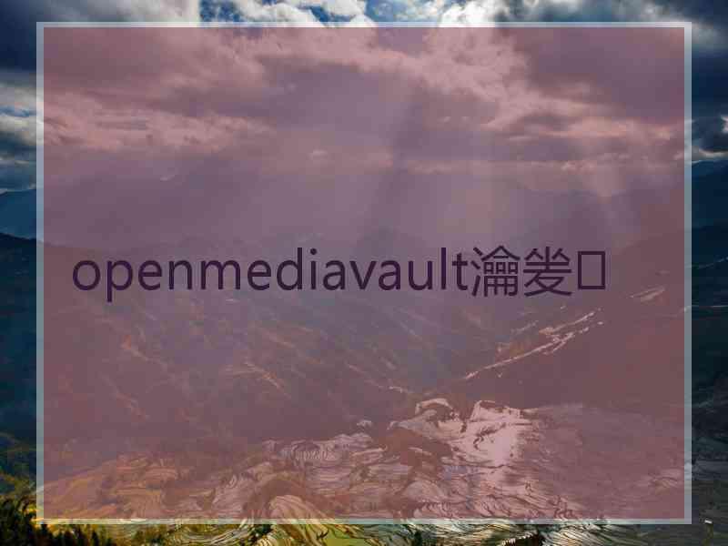 openmediavault瀹夎