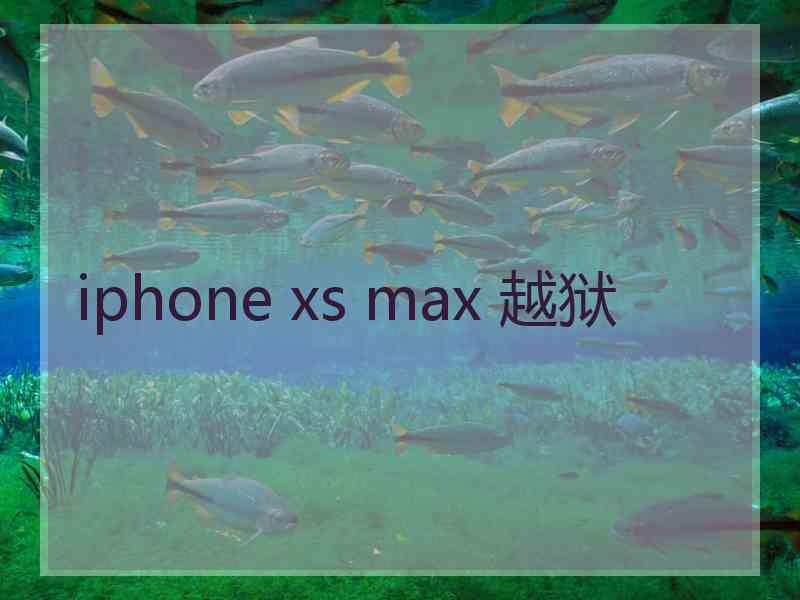 iphone xs max 越狱