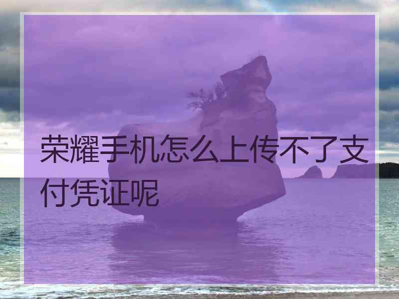 荣耀手机怎么上传不了支付凭证呢