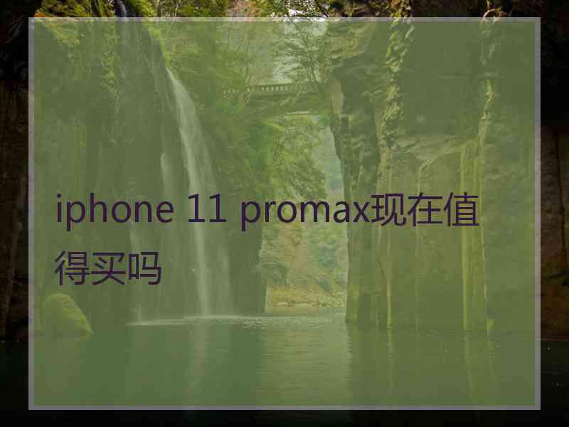 iphone 11 promax现在值得买吗