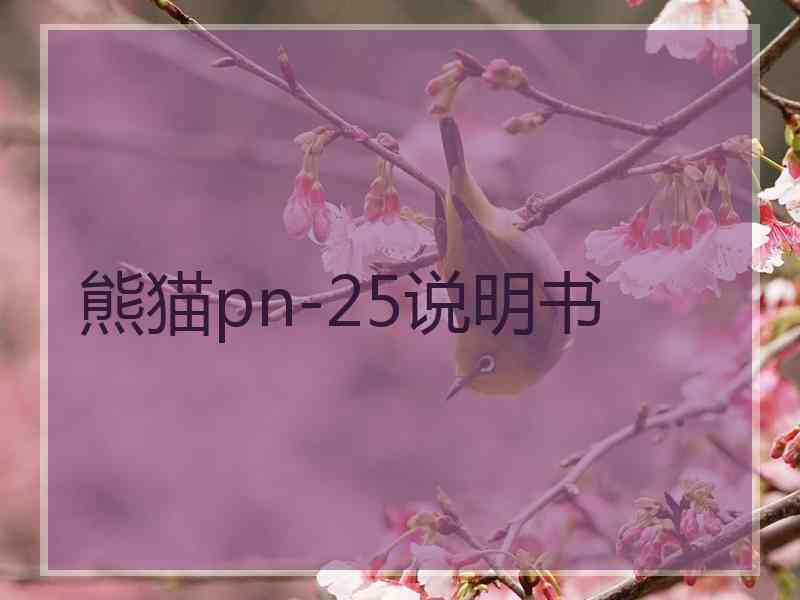 熊猫pn-25说明书