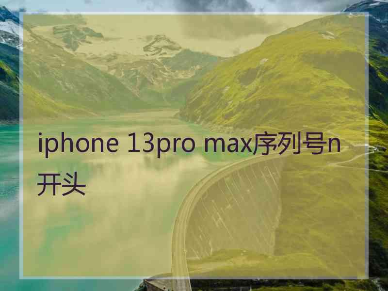 iphone 13pro max序列号n开头