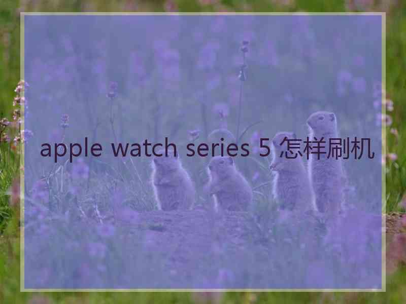 apple watch series 5 怎样刷机