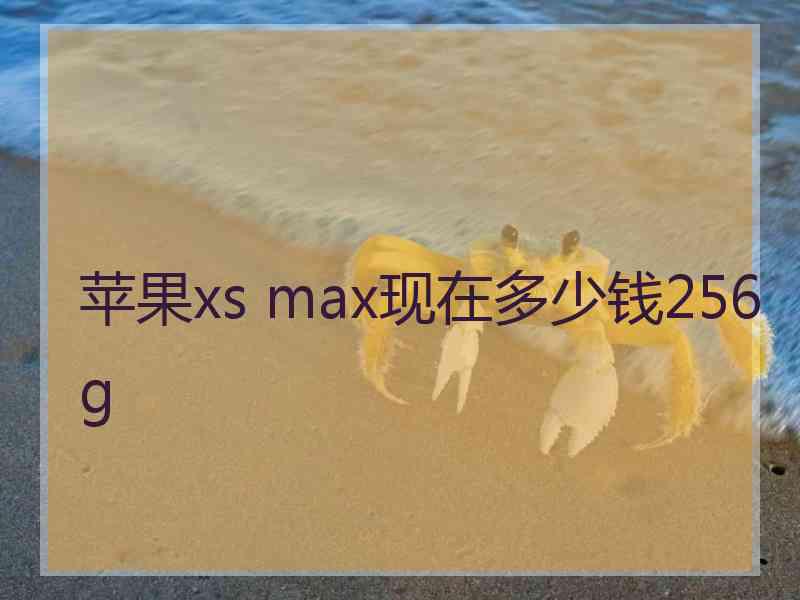 苹果xs max现在多少钱256g