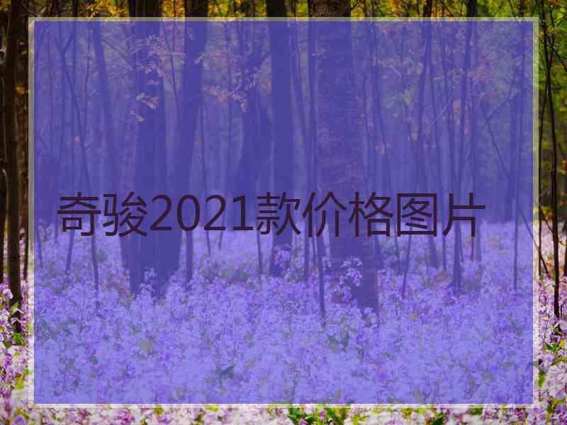 奇骏2021款价格图片