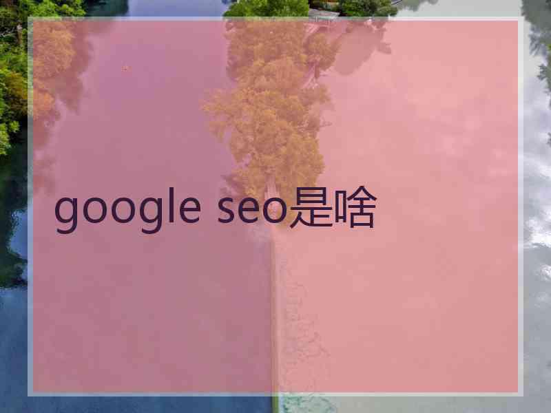 google seo是啥