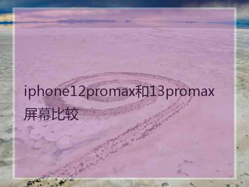 iphone12promax和13promax屏幕比较