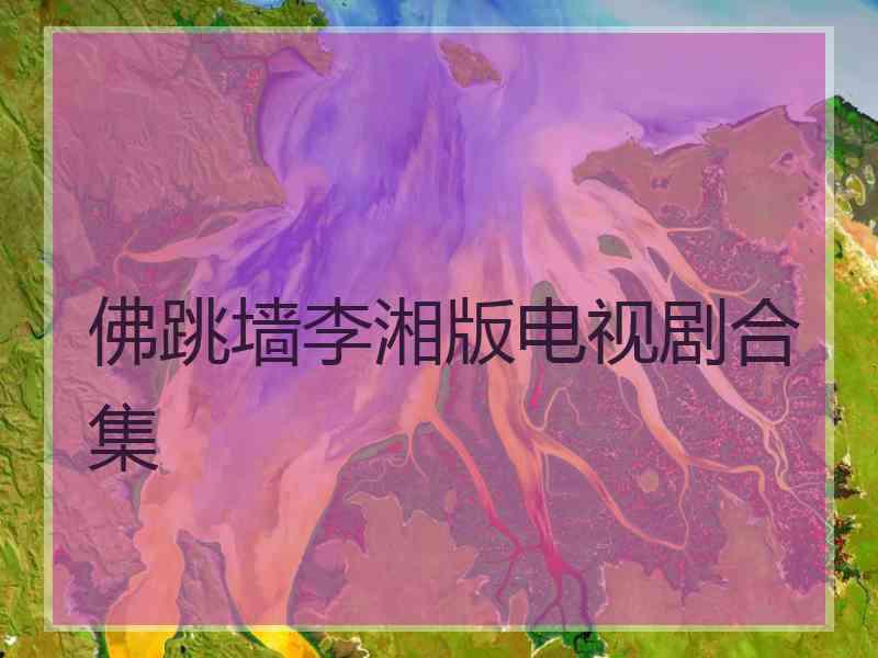 佛跳墙李湘版电视剧合集