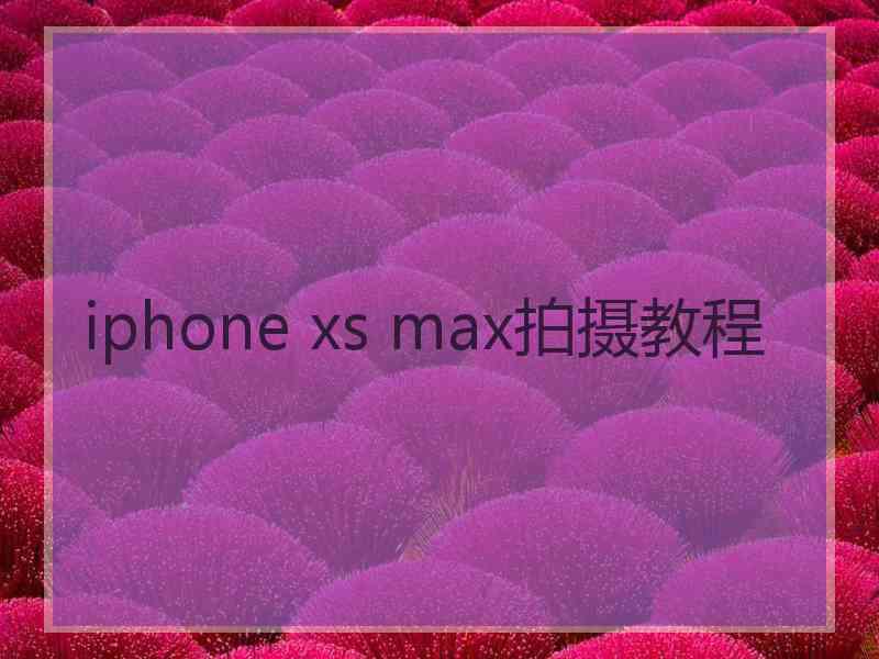 iphone xs max拍摄教程