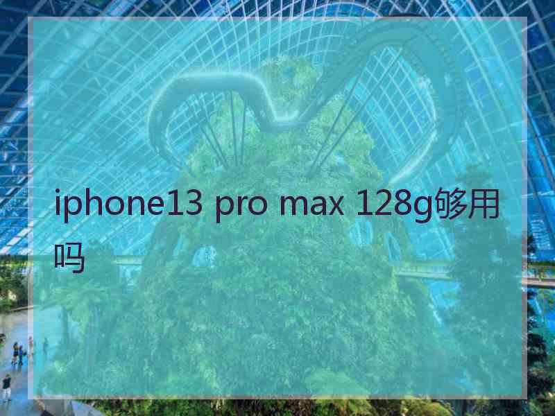 iphone13 pro max 128g够用吗