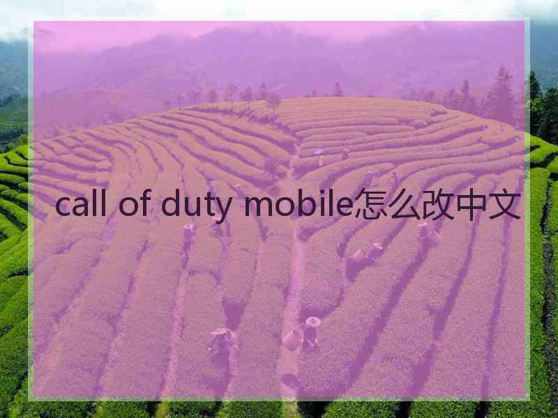 call of duty mobile怎么改中文