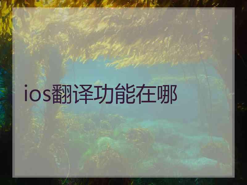 ios翻译功能在哪