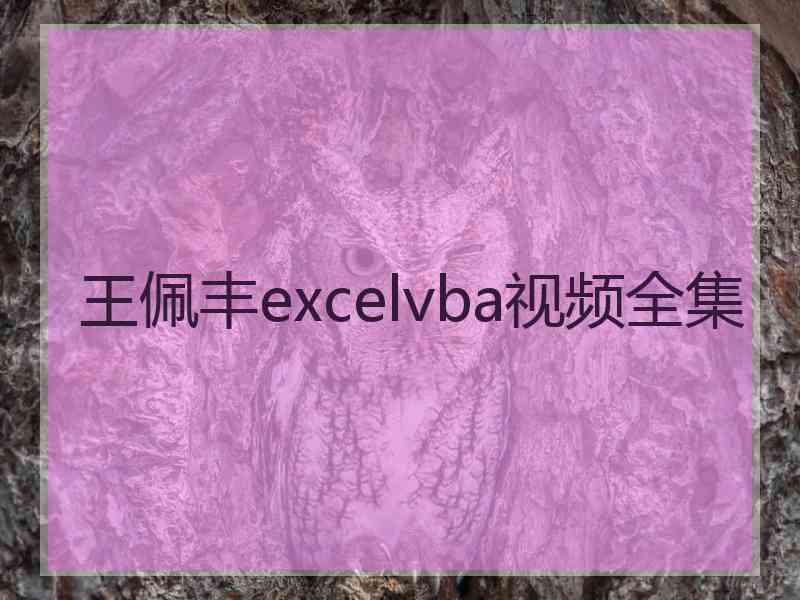 王佩丰excelvba视频全集