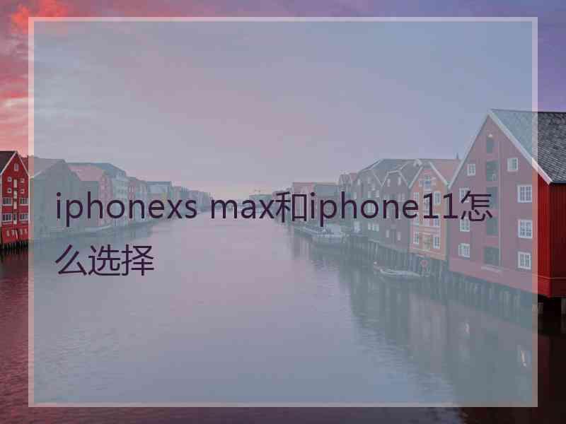 iphonexs max和iphone11怎么选择