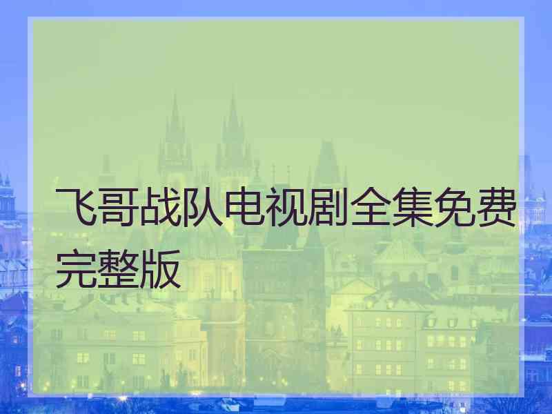 飞哥战队电视剧全集免费完整版