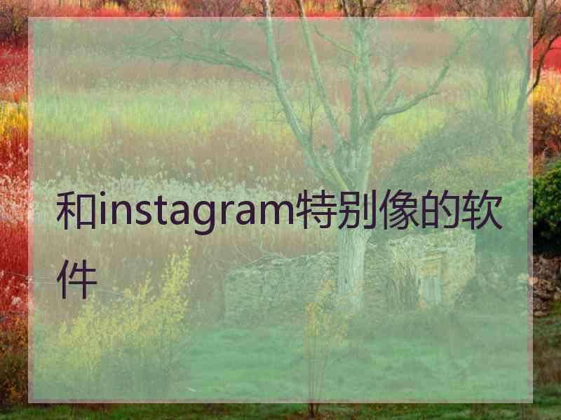 和instagram特别像的软件