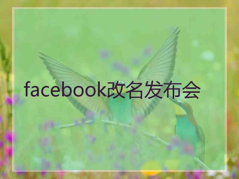 facebook改名发布会