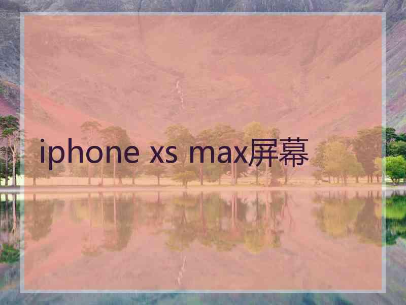 iphone xs max屏幕