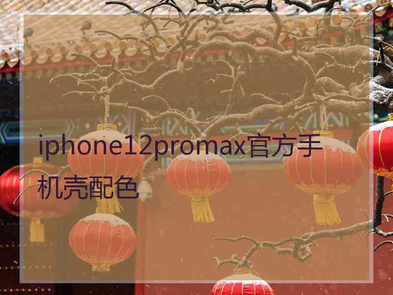 iphone12promax官方手机壳配色