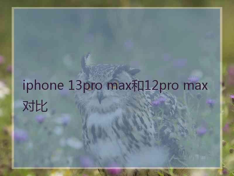 iphone 13pro max和12pro max对比