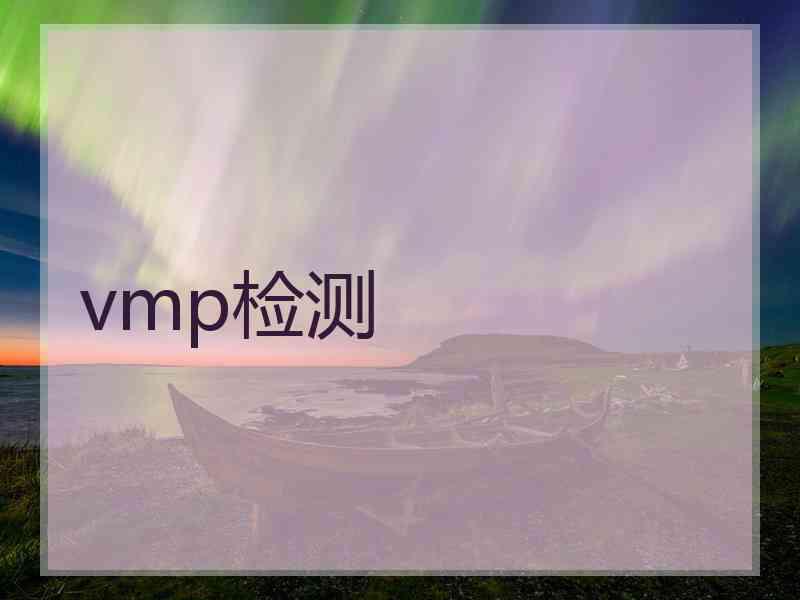 vmp检测