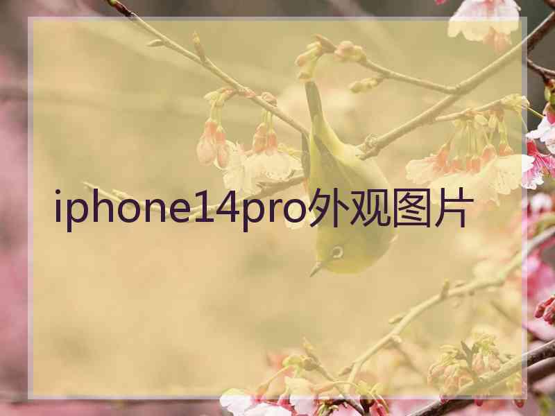 iphone14pro外观图片