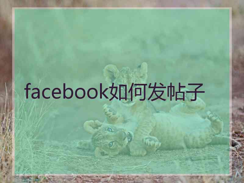 facebook如何发帖子