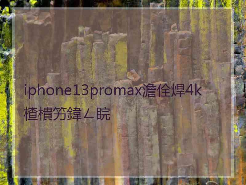 iphone13promax澹佺焊4k楂樻竻鍏ㄥ睆