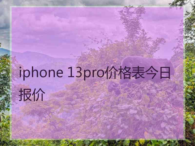 iphone 13pro价格表今日报价