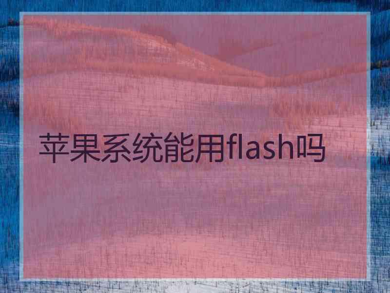 苹果系统能用flash吗