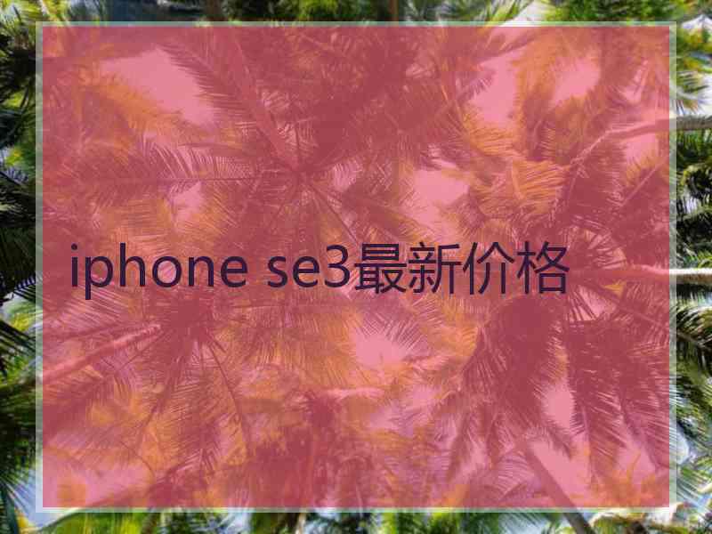 iphone se3最新价格