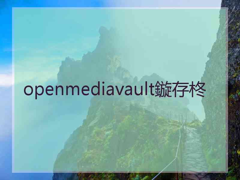 openmediavault鏇存柊