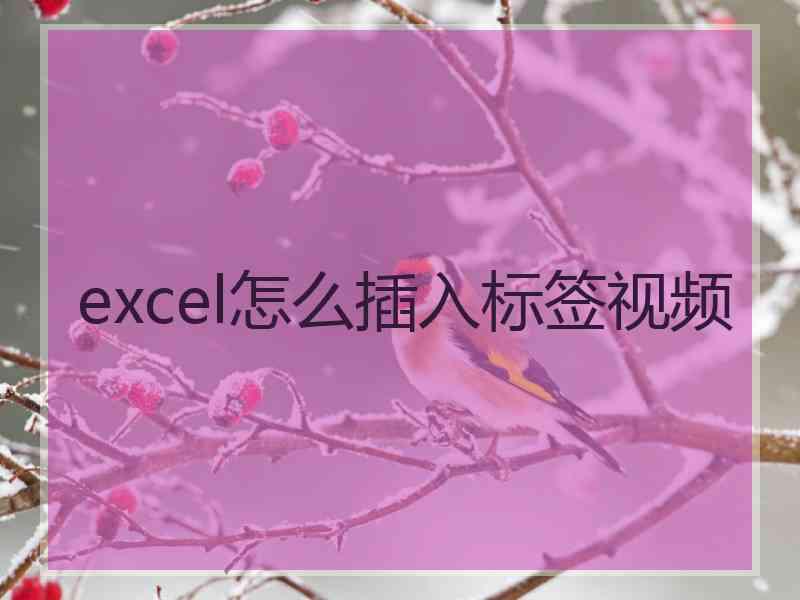 excel怎么插入标签视频