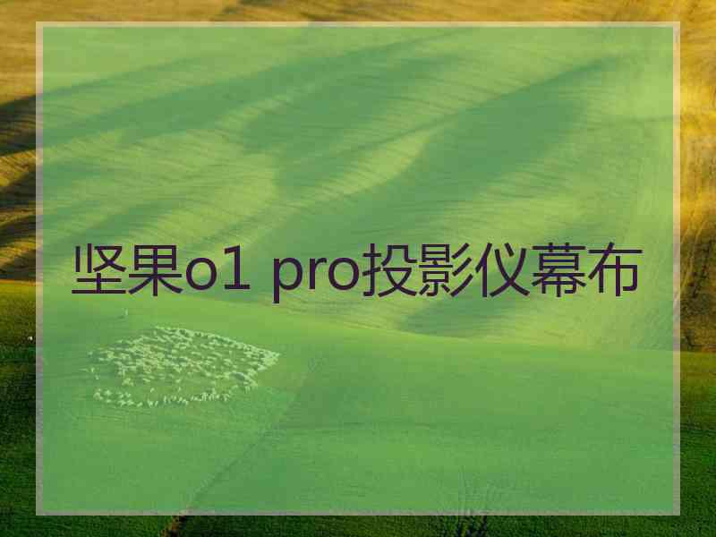 坚果o1 pro投影仪幕布