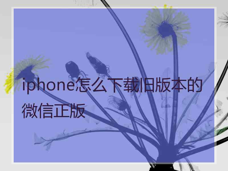 iphone怎么下载旧版本的微信正版