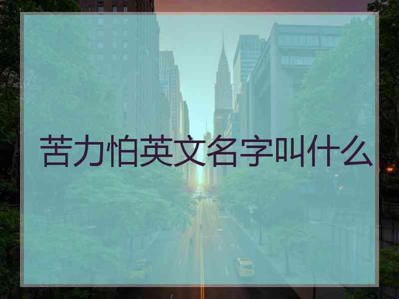 苦力怕英文名字叫什么