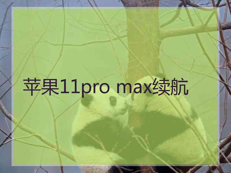 苹果11pro max续航