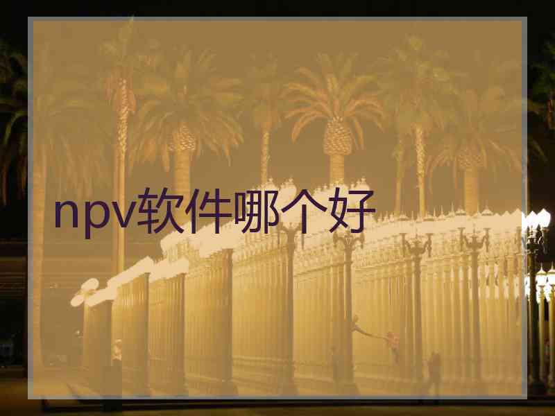 npv软件哪个好