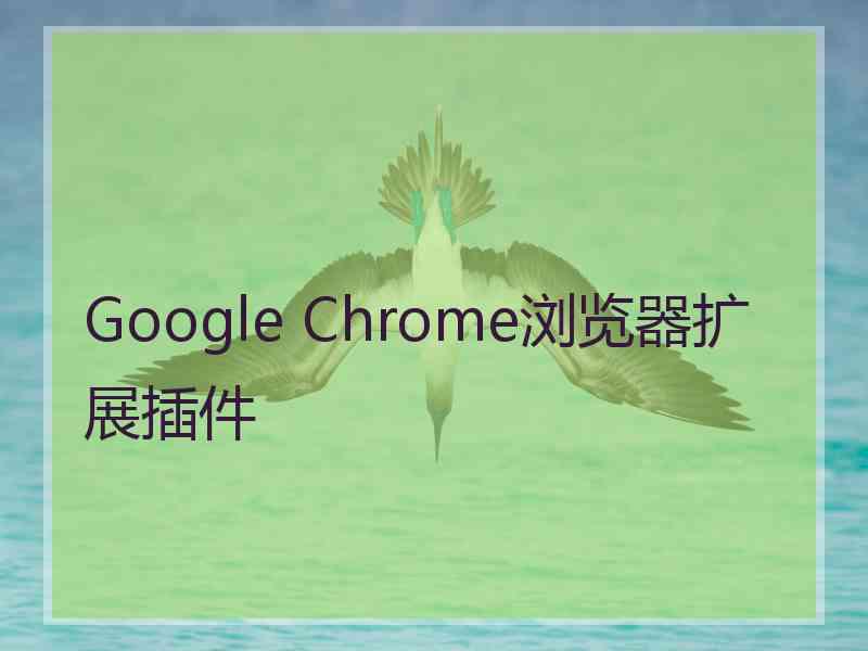 Google Chrome浏览器扩展插件