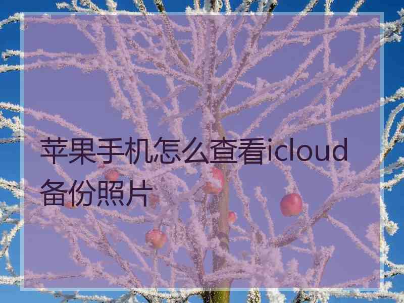 苹果手机怎么查看icloud备份照片