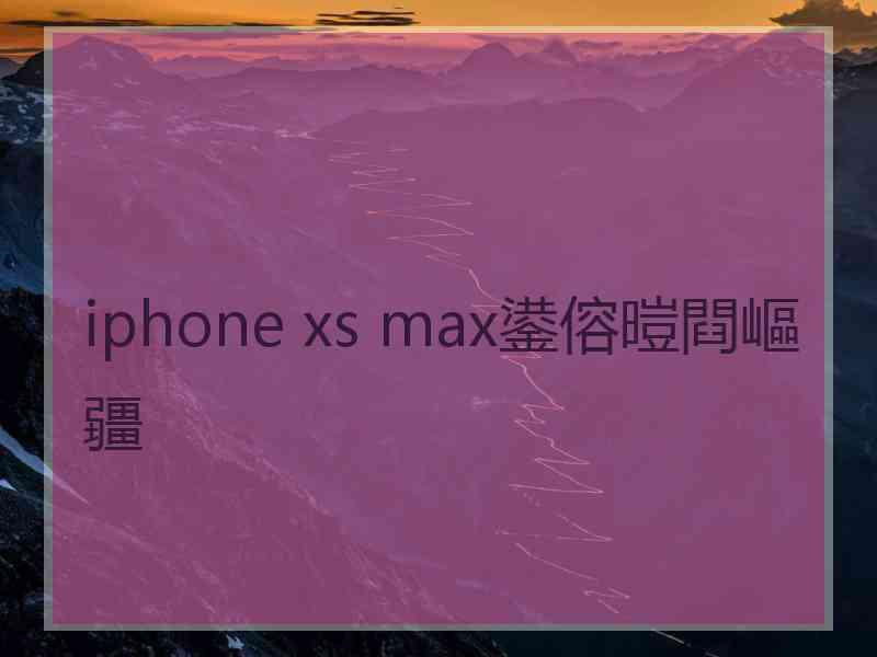 iphone xs max鍙傛暟閰嶇疆