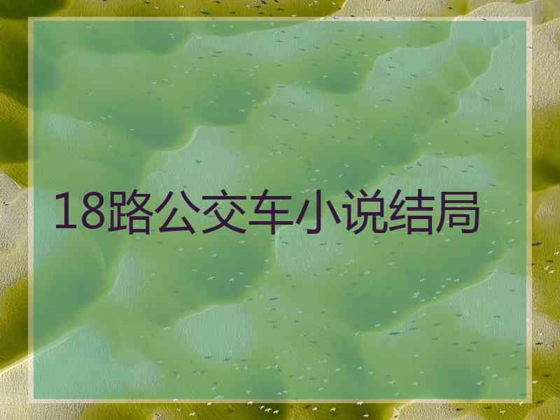 18路公交车小说结局