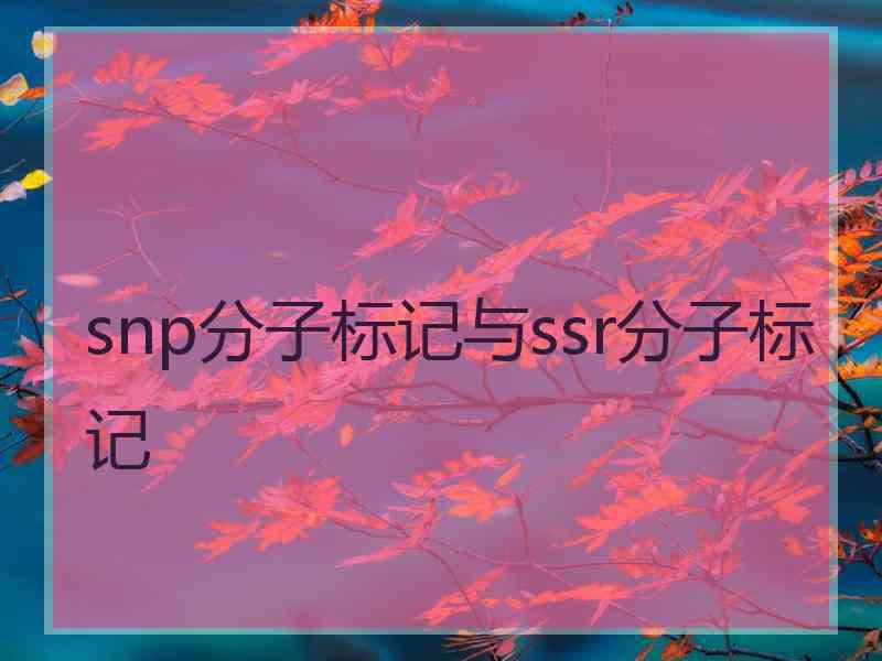 snp分子标记与ssr分子标记